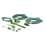 Briggs & Stratton Carburettor Kit Suits Horizonal & 25 Series Models