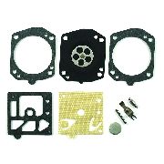 Genuine Walbro Repair Kit K20-hd