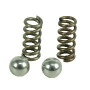 Spring & Ball Kit Suits 11359012 / Omk519789 Omk32653 / Gaf520-230a