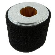 Air Filter Element G340f(d) / G390f(d)a / G420f(d)a