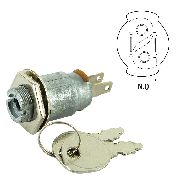Ignition Switch Suits Domestic Key Start Mowers Indak Type Two Terminals