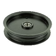 Bigdog / Hustler Idler Pulley 6-3/4"