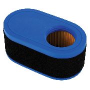 Mtd Air Filter W/ Pre-filter