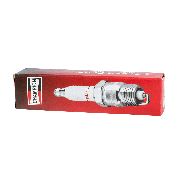 Champion N11yc Spark Plug (#302)