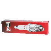Champion Xc92yc Spark Plug (#980)