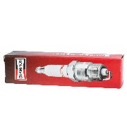 Champion Z9y Spark Plug (#808)