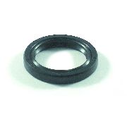 Briggs & Stratton Magneto Top Seal Suits 6hp 7hp & 8hp
