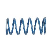 Kawasaki Valve Spring Intak Intake & Exhaust