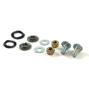 Turner Blade Bolt & Nut Set