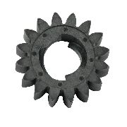 Genuine Briggs & Stratton 16-tooth Starter Gear