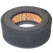 Robin Air Filter Eh 12