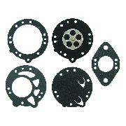 Non-genuine Tillotson Dg-2hl Diaphragm & Gasket Set