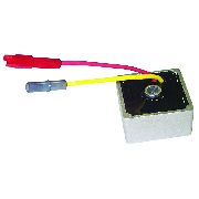 Briggs & Stratton Voltage Regulator 5 & 9amp