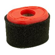 Briggs & Stratton Air & Pre Filter Suits 550 Series 3.5hp