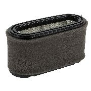 Element Assy. , Air Cleaner Ssv450f1 / Eng8380