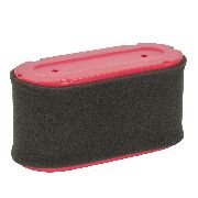 Air Filter Loncin Toro (closed Top)