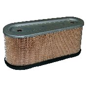 Tecumseh Air Filter 15hp Ohv