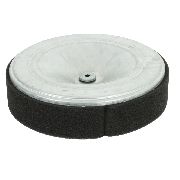 Honda Air Filter * Suits Gx690