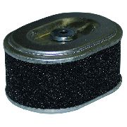 Honda Gx110, Gx120 Oval Cartridge Air Filter And Pre-filter
