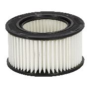 Air Filter Suits Selected Stihl