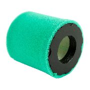 Briggs & Stratton Air Filter Cylinder Type 798897