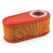 Briggs & Stratton Air Filter Tri Oval