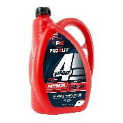 Oil Sae30 4-stroke 4l