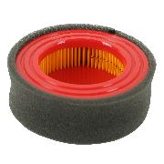Mtd Air Filter With Pre Filter