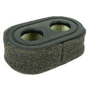 Briggs & Stratton Air Filter & Pre-filter Oem 798452 Fits 550ex Eng