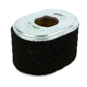 Honda Gx140, Gx160, Gx200 Oval Cartridge Air Filter And Pre-filter