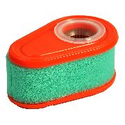 Briggs & Stratton Air Filter Vertical 700 Series Dov Engines