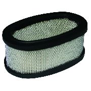 Briggs & Stratton Air Filter Oval 8hp 393406