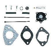 Kohler Accelerator Pump Kit Cv17- 25 Cv640- 740