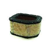 Kohler Air Filter Sv810-840