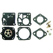 Genuine Tillotson Repair Kit Rk-21hs