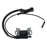 Ignition Coil Assembly G240f(d) / G270f(d)