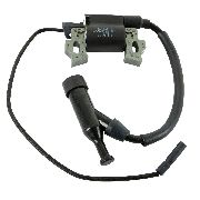 Ignition Coil Assembly