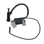Ignition Coil Assembly G340f(d) / G390f(d)a / G420f(d)a