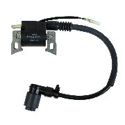 Ignition Coil Assembly Lc152f