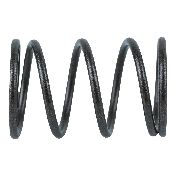 Valve Spring Suits Lc1p70fc ( Ssv200fc )