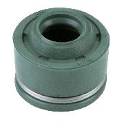 Valve Oil Seal Suits Lc1p70fc ( Ssv200fc )