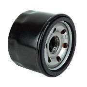 Oil Filter Suits Xp550e, Xp620e, Ssv550xp And Ssv620xp