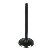 Intake Vavle
