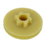 Ryobi Starter Pulley