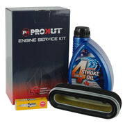 Engine Service Kit Honda Gxv160