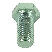 Big Dog / Hustler Blade Mount. Bolt