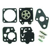 Carburettor Overhaul Kit Tk1