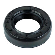Oil Seal Governor