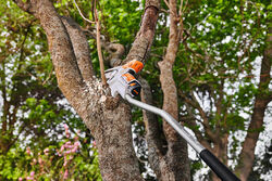 stihl gta 26 extension shaft ee day and sons australia