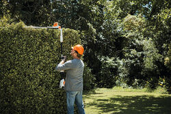 STIHL HLA 56 battery Pole Hedge Trimmer Spilt Shaft cutting hedge 